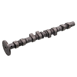Camshaft Engine-2