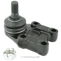Febest Ball joint front lower arm - Part 0220-E26LF