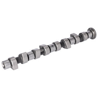 Camshaft Engine-14