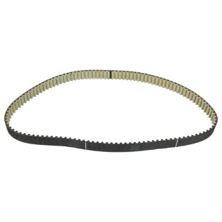 Timing Belt-239