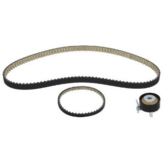Timing Belt Kit-307