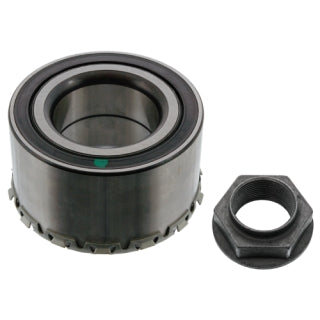 Wheel Bearing Kit-250