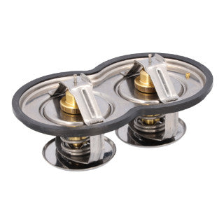 Double Thermostat-1