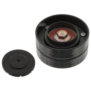 Idler Pulley-312