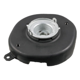 Strut Mounting-1