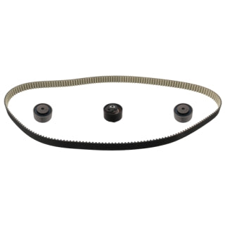 Timing Belt Kit-313