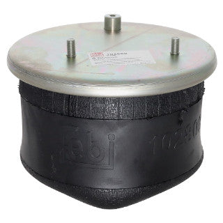 Air Spring-99