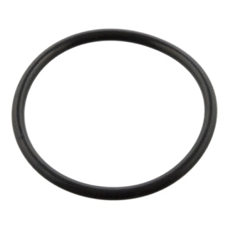 Sealing Ring-110