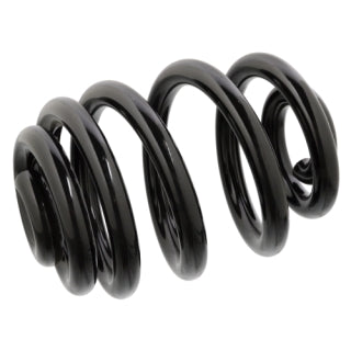 Coil Spring-10