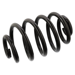 Coil Spring-31