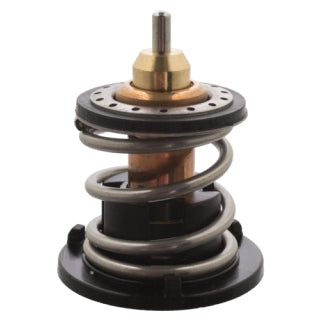 Thermostat-203