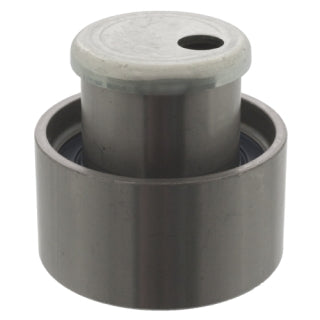 Tensioner Pulley-20
