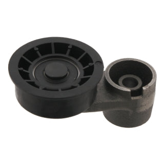 Tensioner Pulley-21