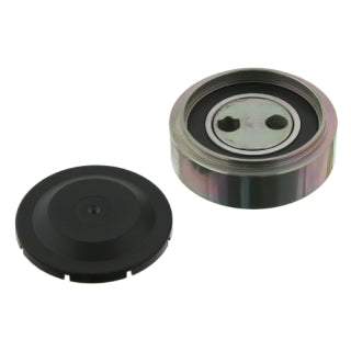 Tensioner Pulley-26