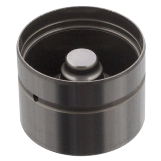 Hydraulic Cam Follower-2