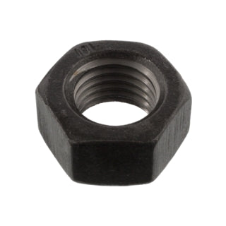 Hex Nut-1