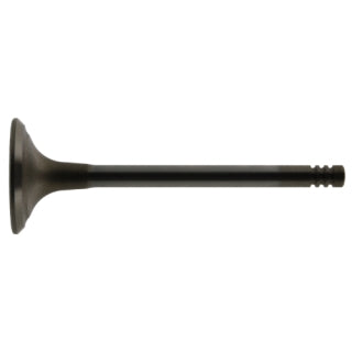 Exhaust Valve-5