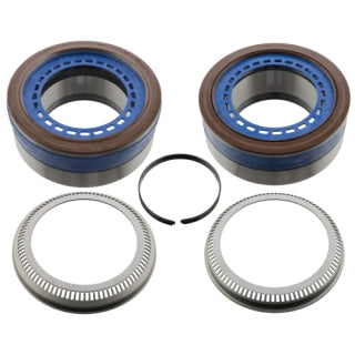 Wheel Bearing Kit-310
