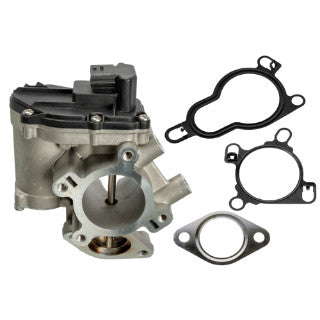 EGR Valve-38