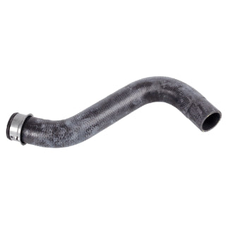 Coolant Hose-238