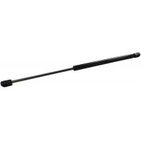 Febest Gas strut - 17117-001