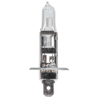 Bulb