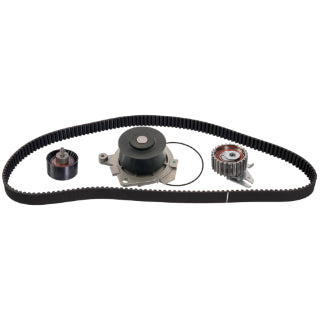 Timing Belt Kit-391