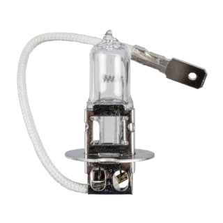 Bulb