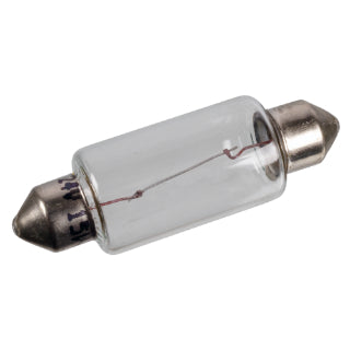 Bulb