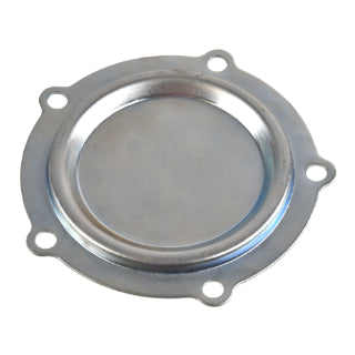 Hub Cap-20