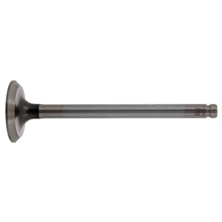 Exhaust Valve-12