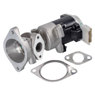 EGR Valve-87