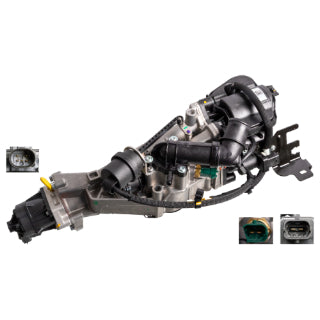 EGR Module-4