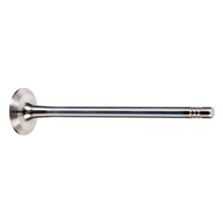 Exhaust Valve-71