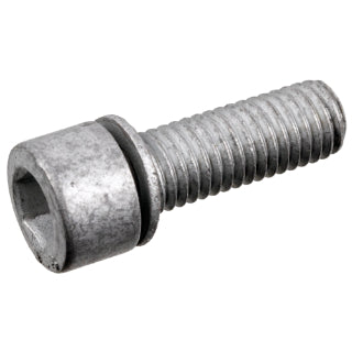 Oil Drain Plug-39