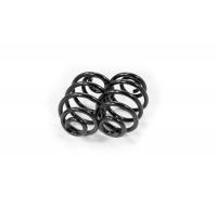 Febest Rear coil spring kit - Part 1808-001R-KIT