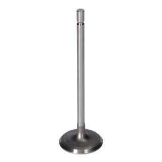 Inlet Valve-75