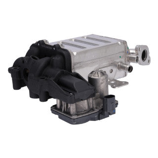 EGR Module-6