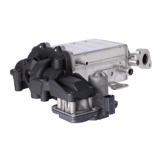 EGR Module-7