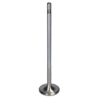 Inlet Valve-76