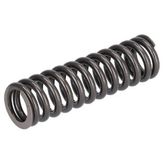 Valve Spring-1