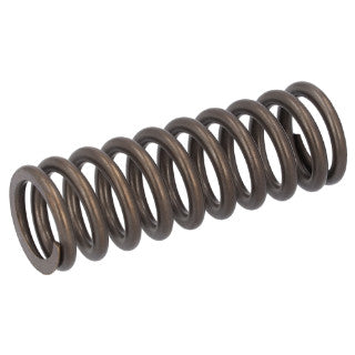 Valve Spring-2