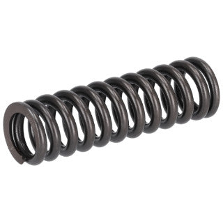 Valve Spring-3