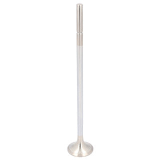 Exhaust Valve-77
