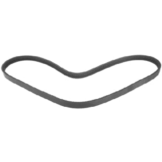 Twin V - Belt-1