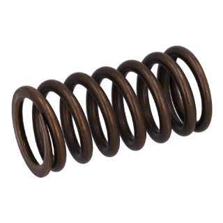 Valve Spring-6