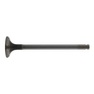Exhaust Valve-14