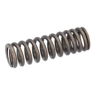 Valve Spring-25