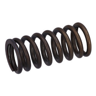 Valve Spring-11