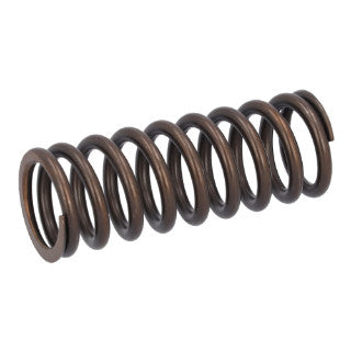 Valve Spring-13